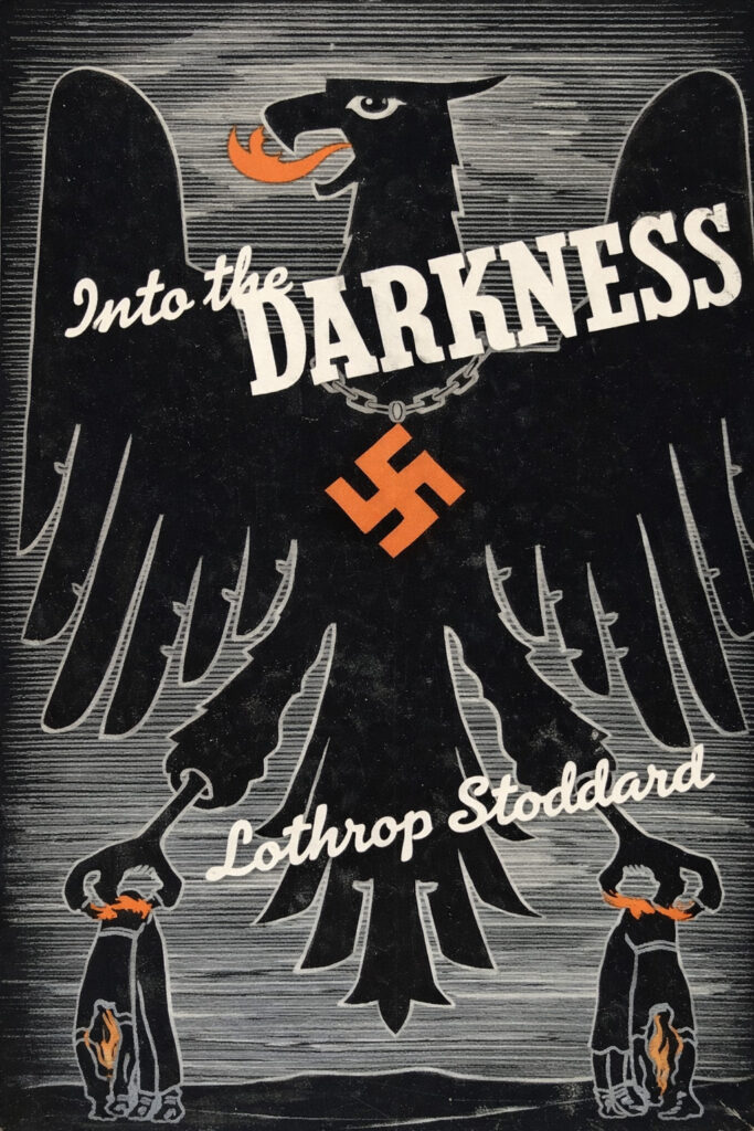 Book Cover of INTO THE DARKNESS: NAZI GERMANY TODAY