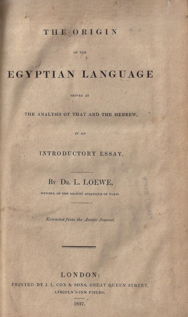 Book Cover of THE ORIGIN OF THE EGYPTIAN LANGUAGE