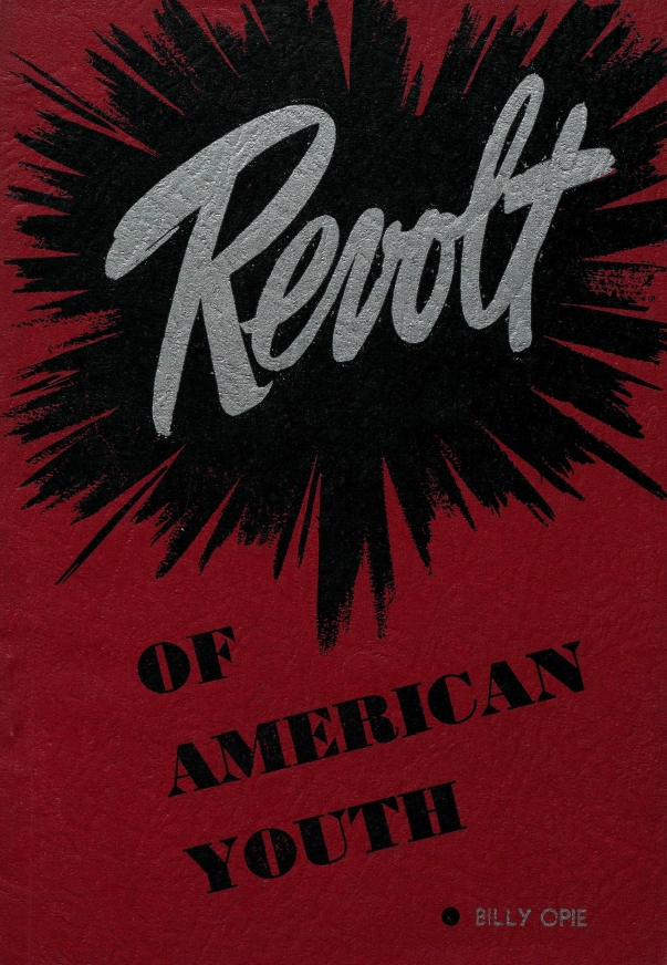 Book Cover of THE REVOLT OF AMERICAN YOUTH