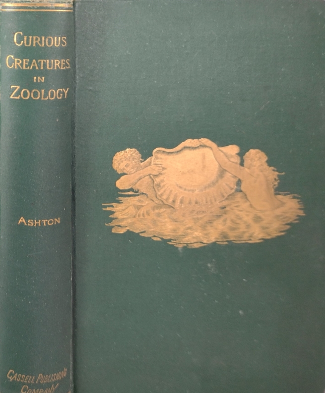 Book Cover of CURIOUS CREATURES IN ZOOLOGY