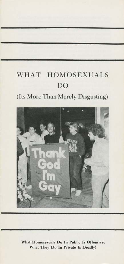 Book Cover of WHAT HOMOSEXUALS DO (ITS MORE THAN MERELY DISGUSTING)