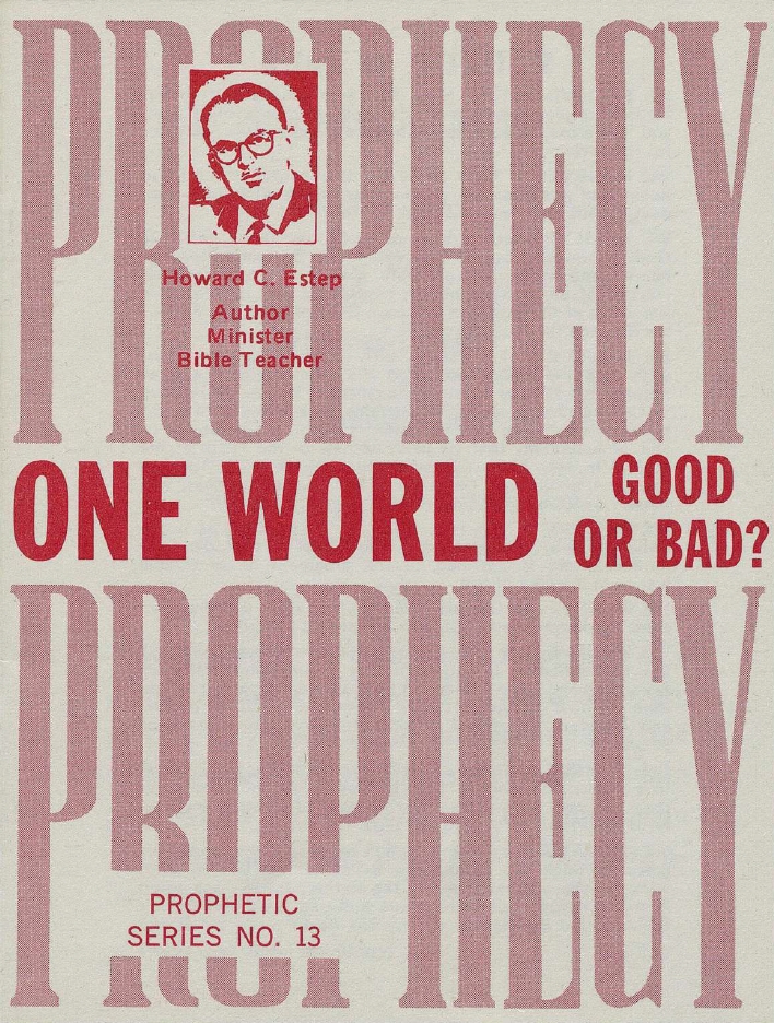 Book Cover of ONE-WORLD: GOOD OR BAD?