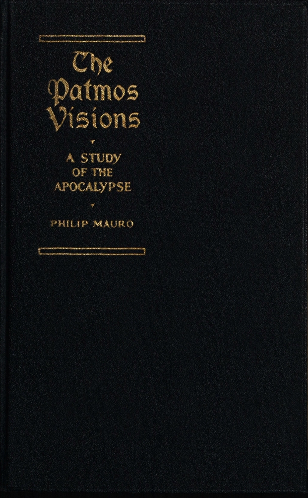 Book Cover of THE PATMOS VISIONS: A STUDY OF THE APOCALYPSE