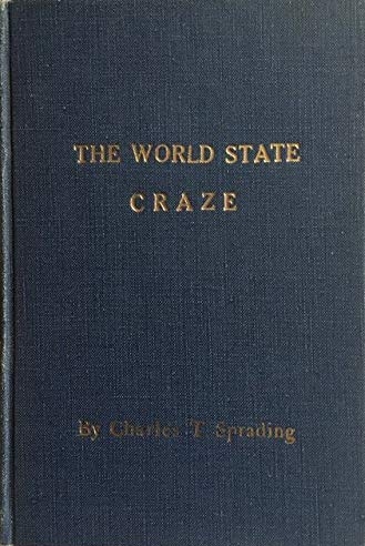 Book Cover of THE WORLD STATE CRAZE