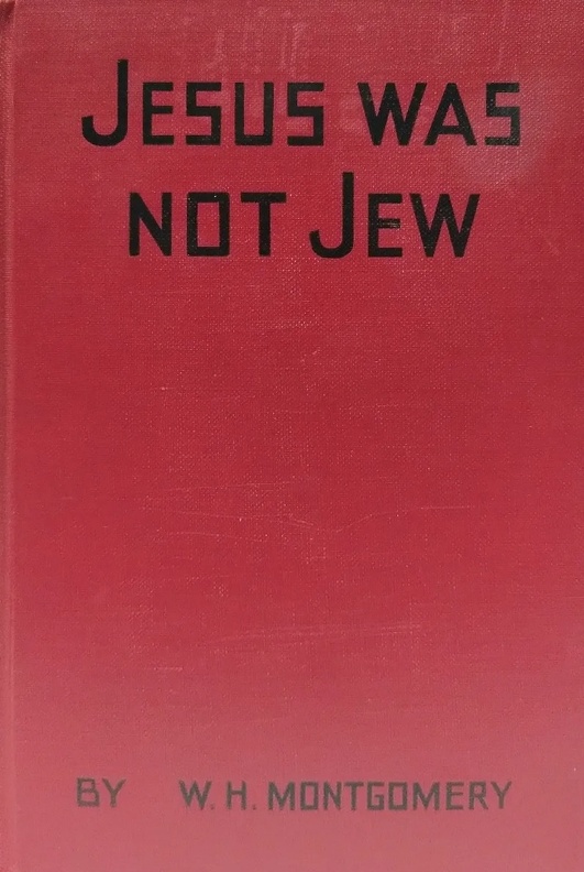 Book Cover of JESUS WAS NOT JEW