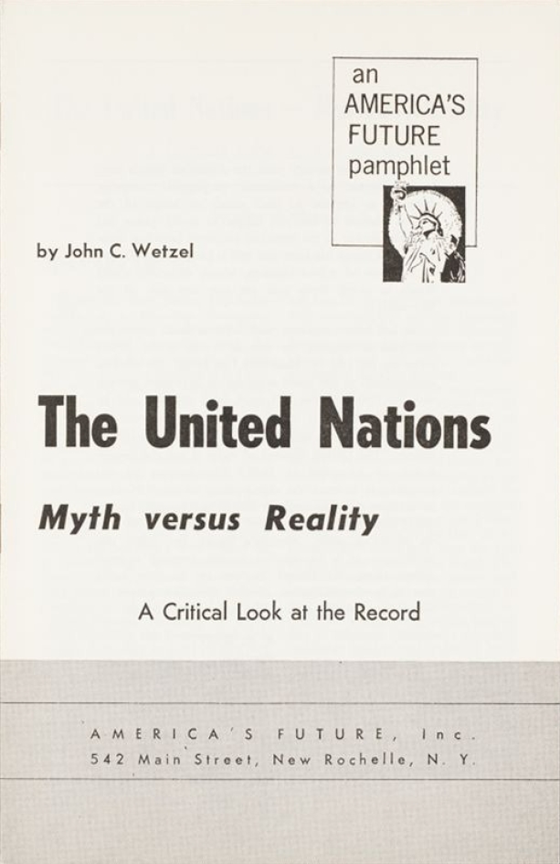 Book Cover of THE UNITED NATIONS: MYTH VERSUS REALITY: A CRITICAL LOOK AT THE RECORD