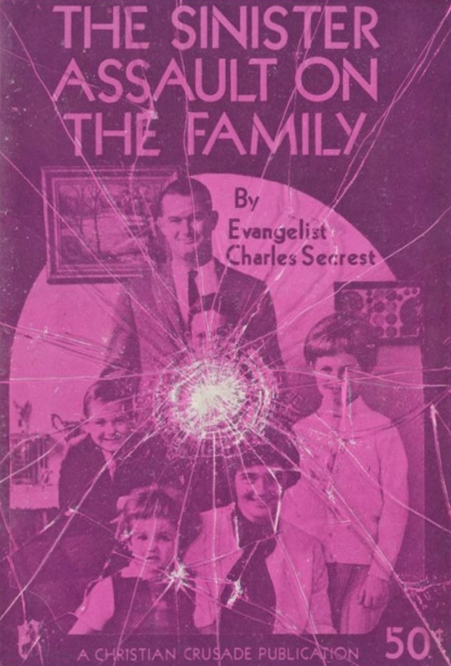 Book Cover of THE SINISTER ASSAULT  ON THE FAMILY