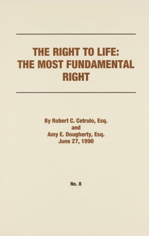 Book Cover of THE RIGHT TO LIFE: THE MOST FUNDAMENTAL RIGHT