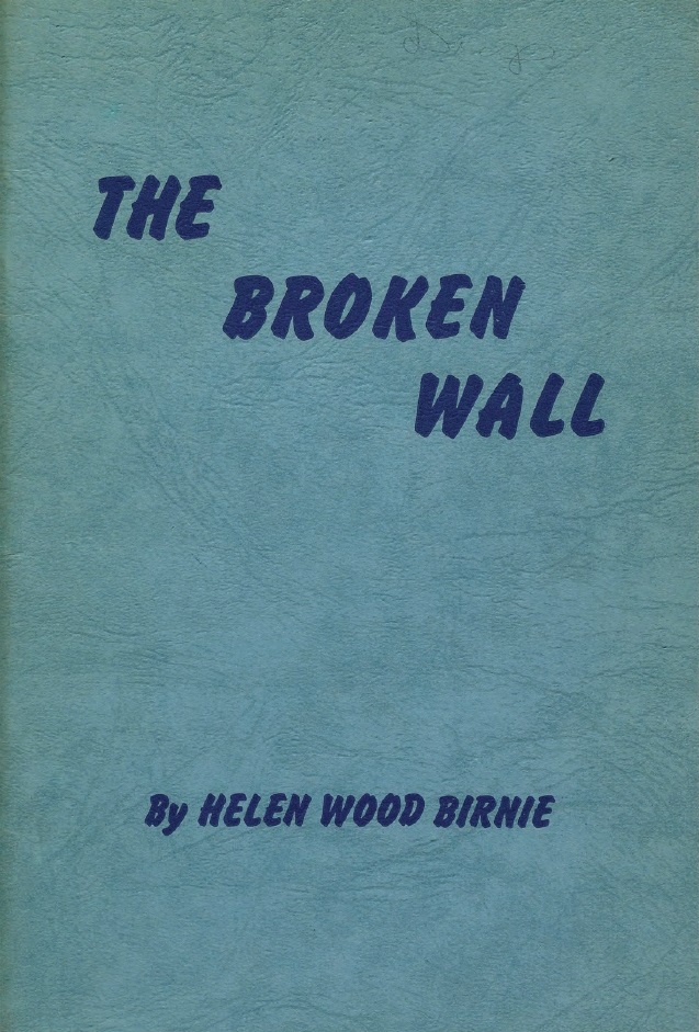 Book Cover of THE BROKEN WALL