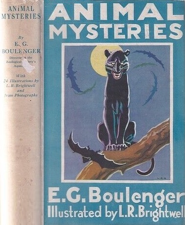 Book Cover of ANIMAL MYSTERIES