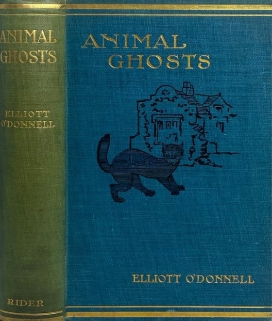 Book Cover of ANIMAL GHOSTS; OR, ANIMAL HAUNTINGS AND THE HEREAFTER