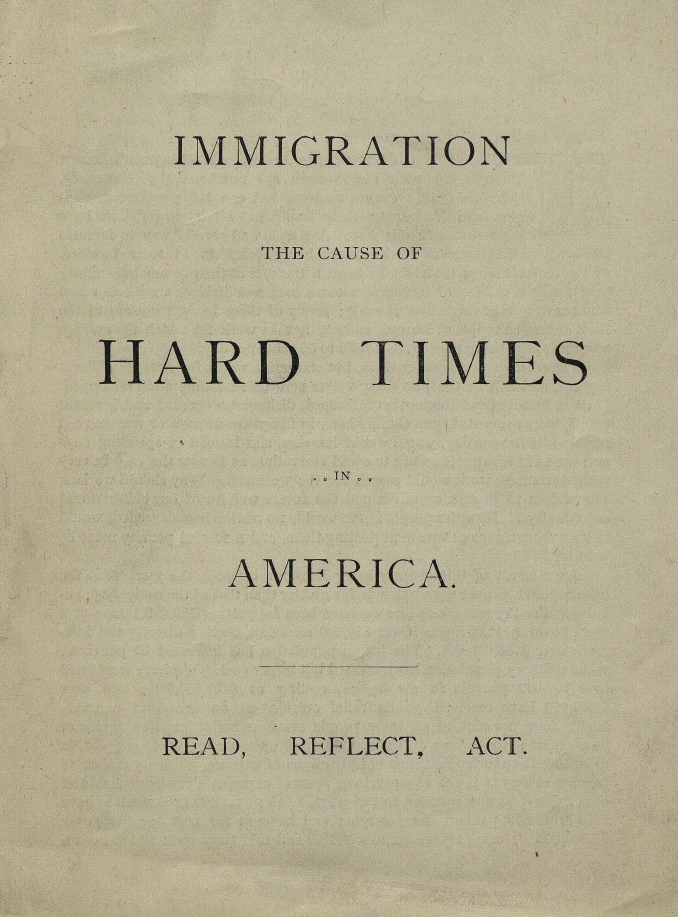 Book Cover of IMMIGRATION, THE CAUSE OF HARD TIMES IN AMERICA: READ, REFLECT, ACT.