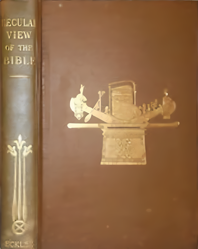 Book Cover of SECULAR VIEW OF THE BIBLE: FROM STUDIES OF THE HEBREW; WITH THE EVIDENCES AS TO JESUS