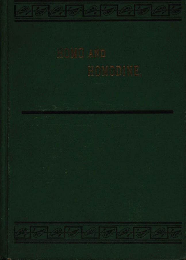 Book Cover of THE PRE-ADAMIC ADVENT OF HOMO AND HOMODINE ON THE AMERICAN CONTINENT