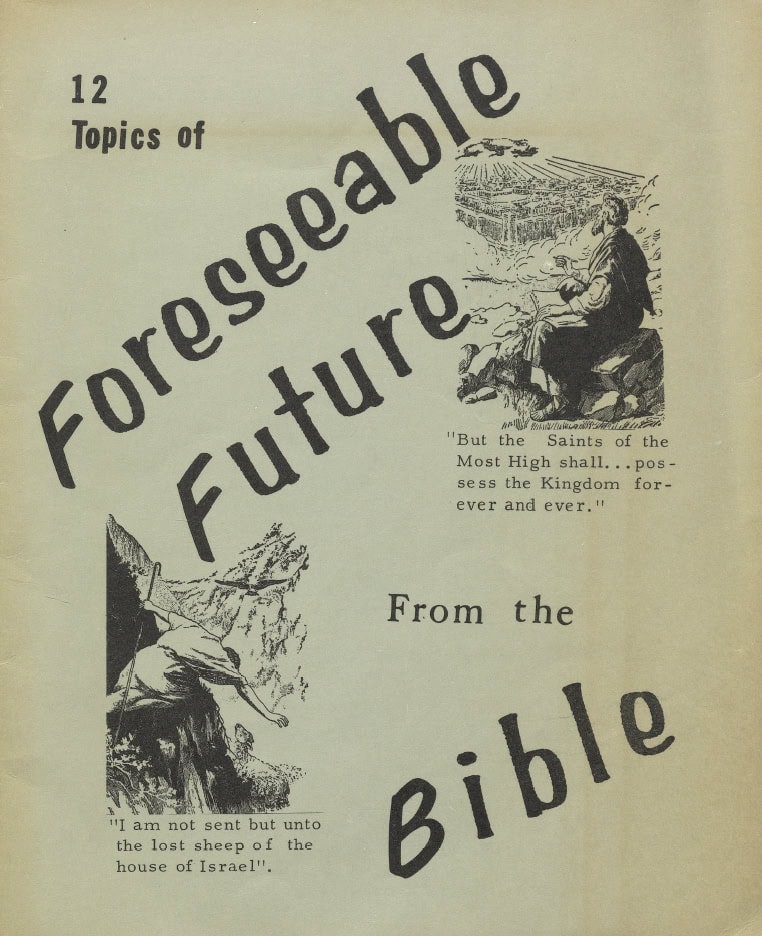 Book Cover of 12 TOPICS OF FORESEEABLE FUTURE FROM THE BIBLE