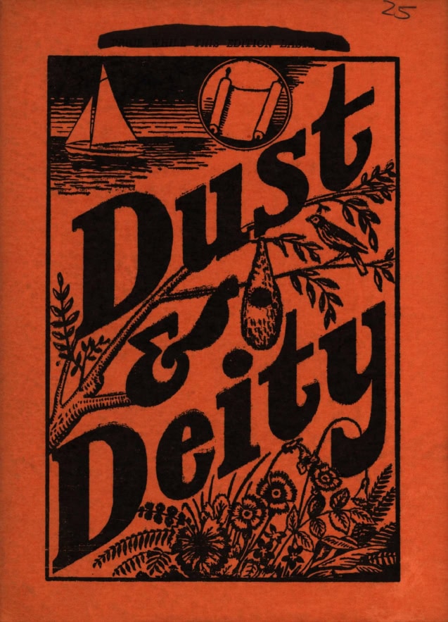 Book Cover of DUST & DEITY