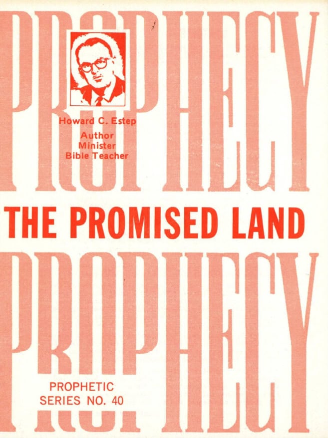 Book Cover of THE PROMISED LAND