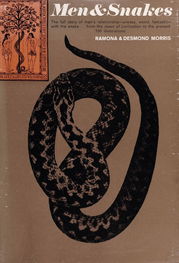 Book Cover of MEN & SNAKES