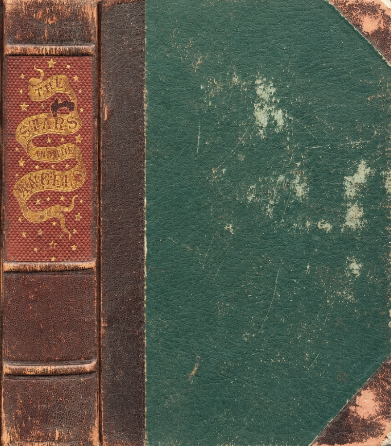 Book Cover of THE STARS AND THE ANGELS