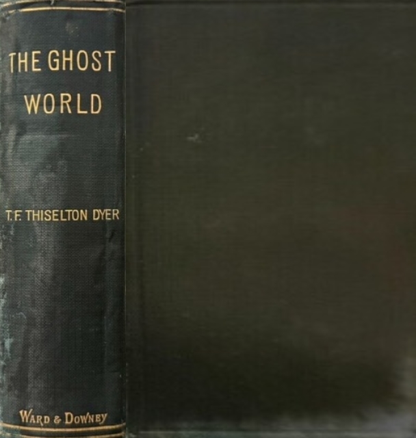 Book Cover of THE GHOST WORLD
