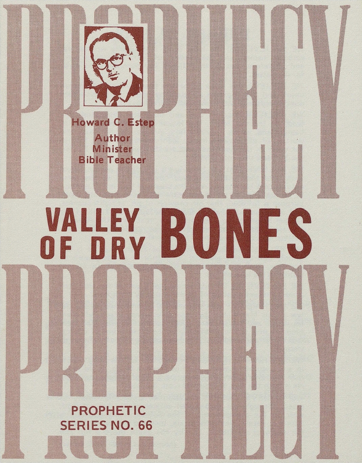 Book Cover of VALLEY OF DRY BONES