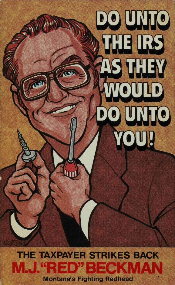 Book Cover of DO UNTO THE I.R.S. AS THEY WOULD DO UNTO YOU