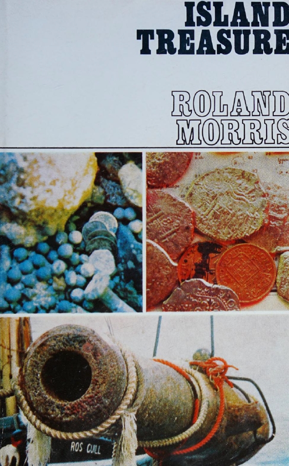 Book Cover of ISLAND TREASURE