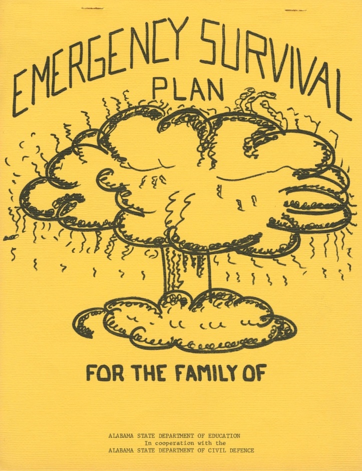 Book Cover of EMERGENCY SURVIVAL PLAN FOR THE FAMILY OF [   ]