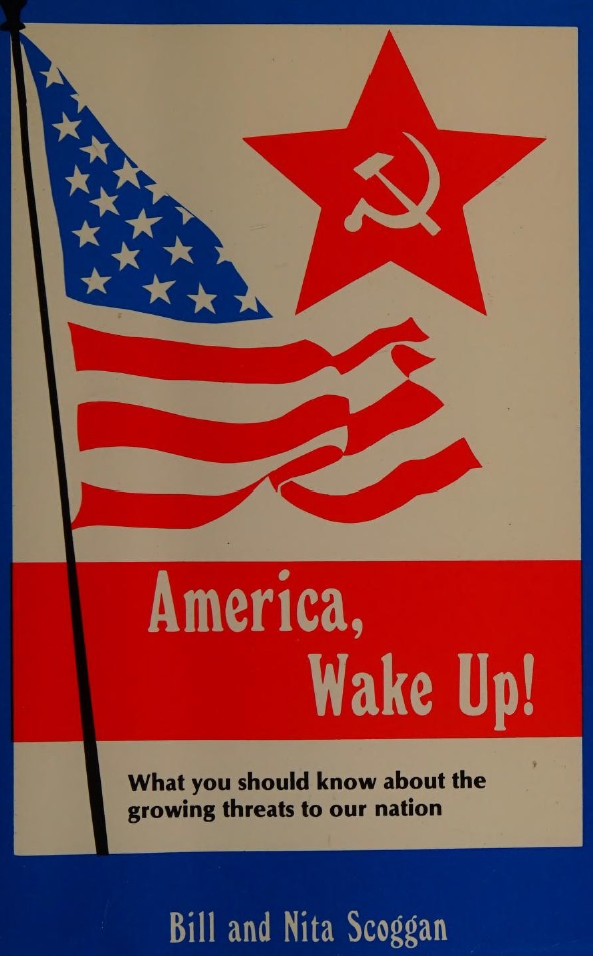 Book Cover of AMERICA, WAKE UP!