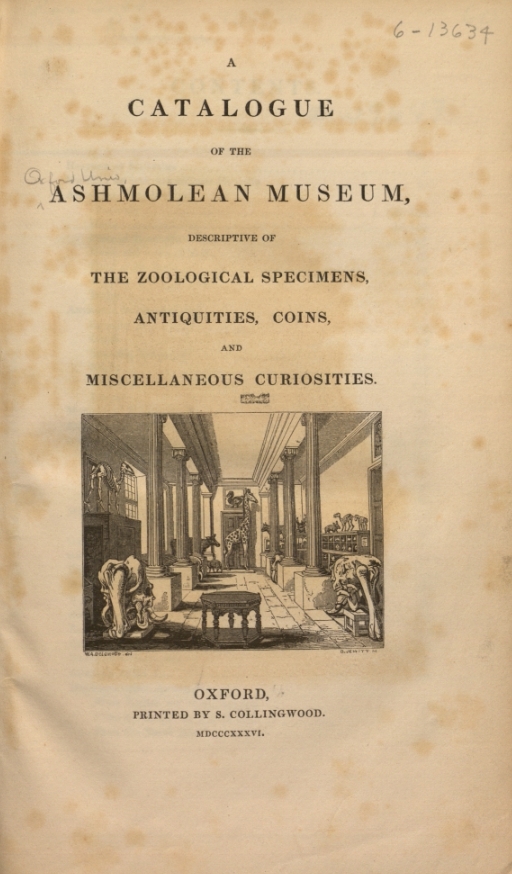 Book Cover of A CATALOGUE OF THE ASHMOLEAN MUSEUM; DESCRIPTIVE OF THE ZOOLOGICAL SPECIMENTS, ANTIQUITIES, COINS, AND MISCELLANEOUS CURIOSITIES