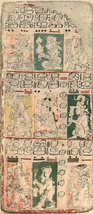 Book Cover of THE DRESDEN CODEX