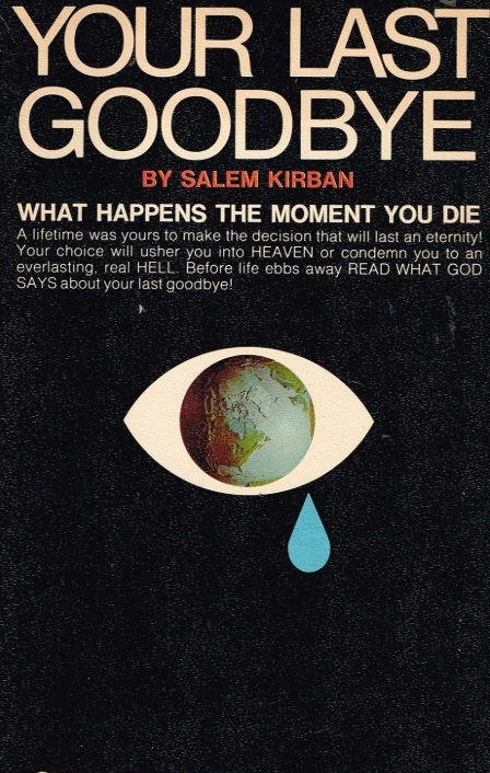 Book Cover of YOUR LAST GOODBYE