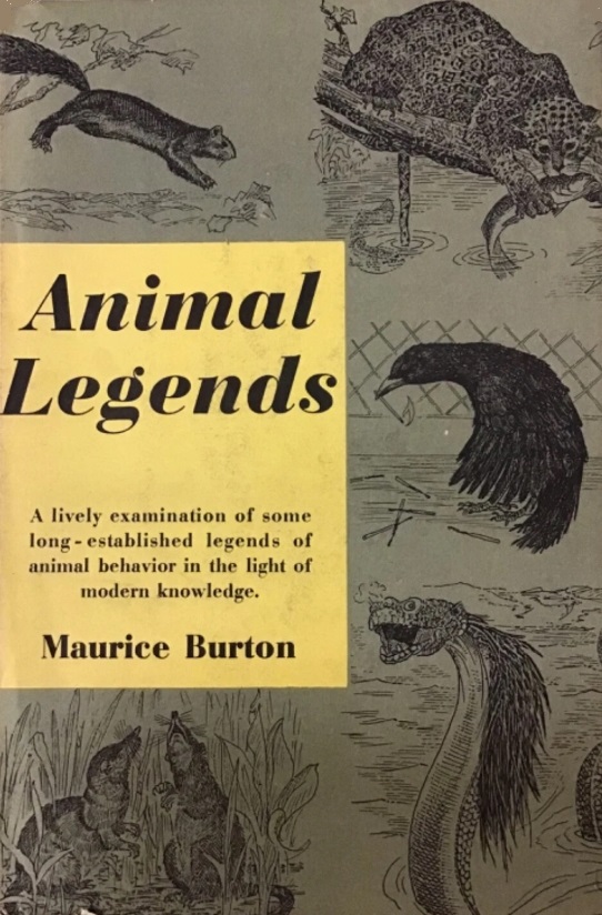 Book Cover of ANIMAL LEGENDS