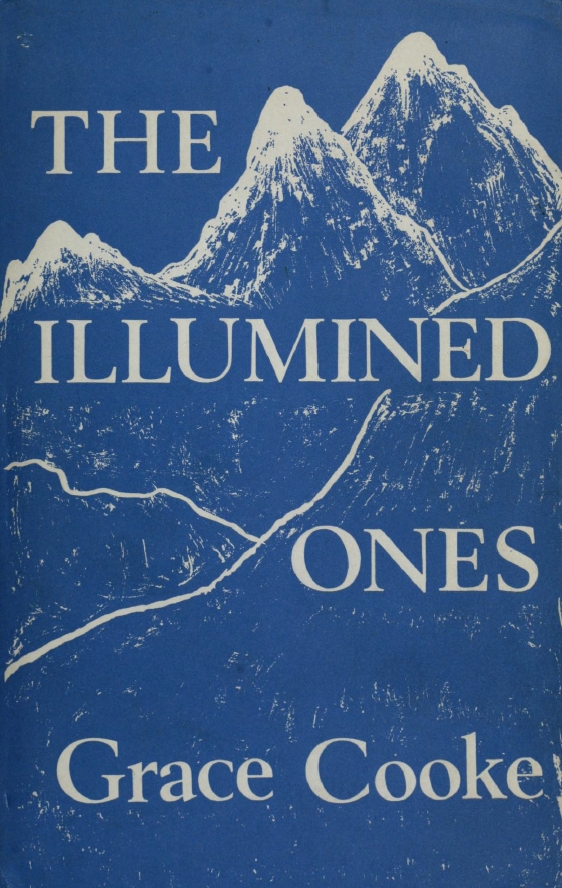 Book Cover of THE ILLUMINED ONES