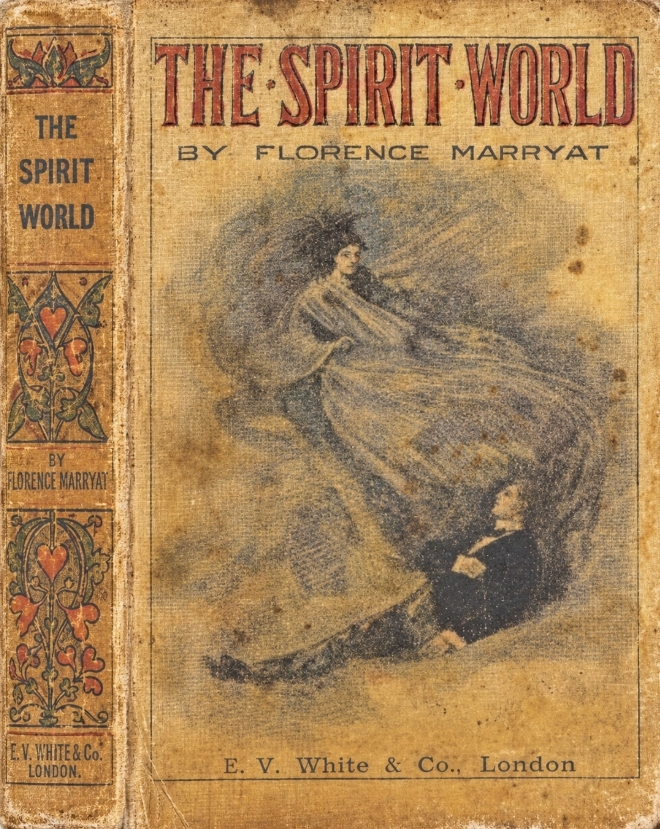 Book Cover of THE SPIRIT WORLD