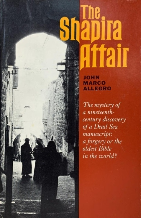 Book Cover of THE SHAPIRA AFFAIR