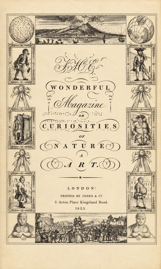 Book Cover of THE WONDERS OF THE UNIVERSE; OR, CURIOSITIES OF NATURE AND ART