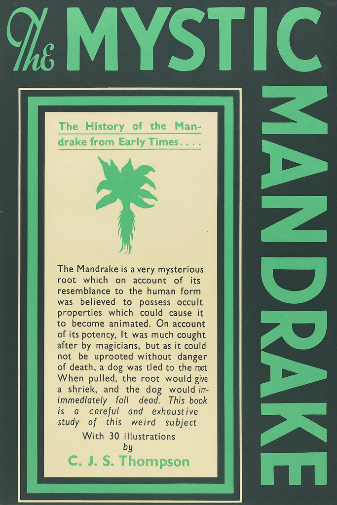 Book Cover of THE MYSTIC MANDRAKE